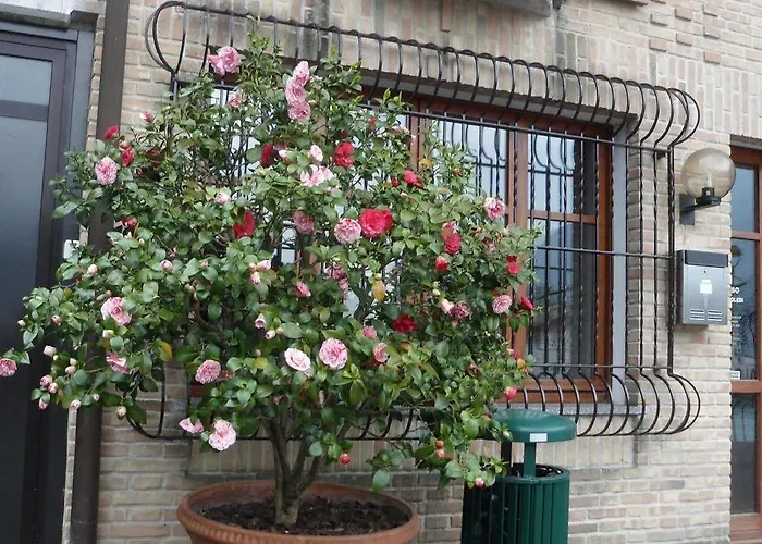 Hotel Ristorante Vapore 2*